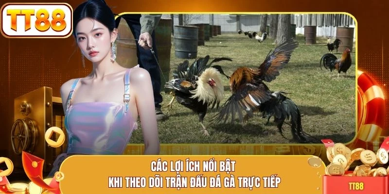 Các lợi ích nổi bật khi theo dõi trận đấu đá gà trực tiếp