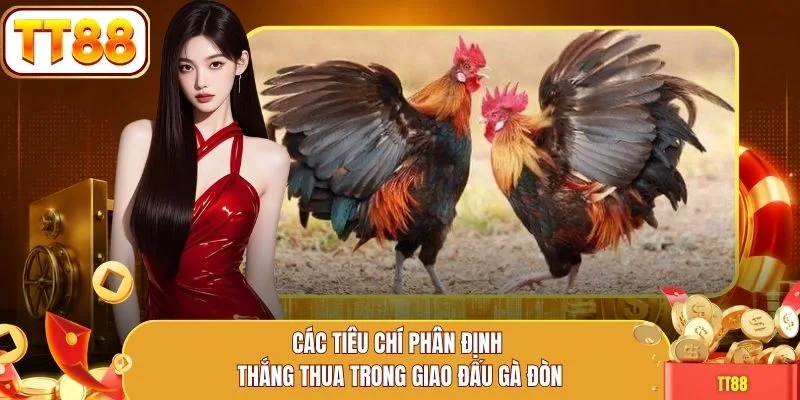 Các tiêu chí phân định thắng thua trong giao đấu gà đòn