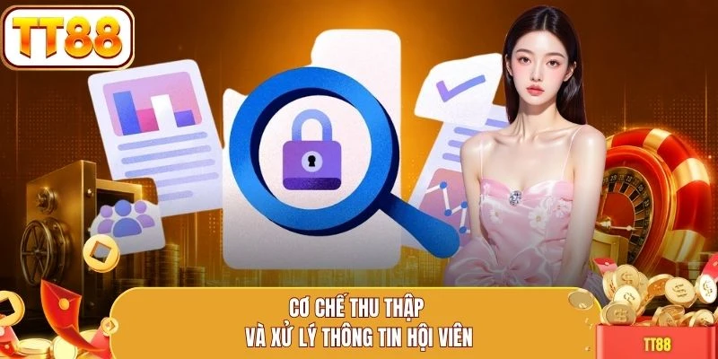 Cơ chế thu thập và xử lý thông tin hội viên